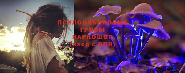 гашик Арсеньев