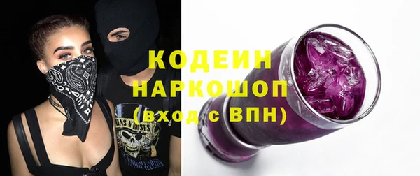 шишки Приозерск