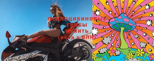 стаф Богородск