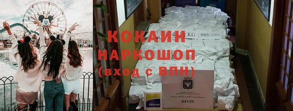 гашик Арсеньев