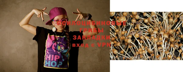 синтетический гашиш Армянск