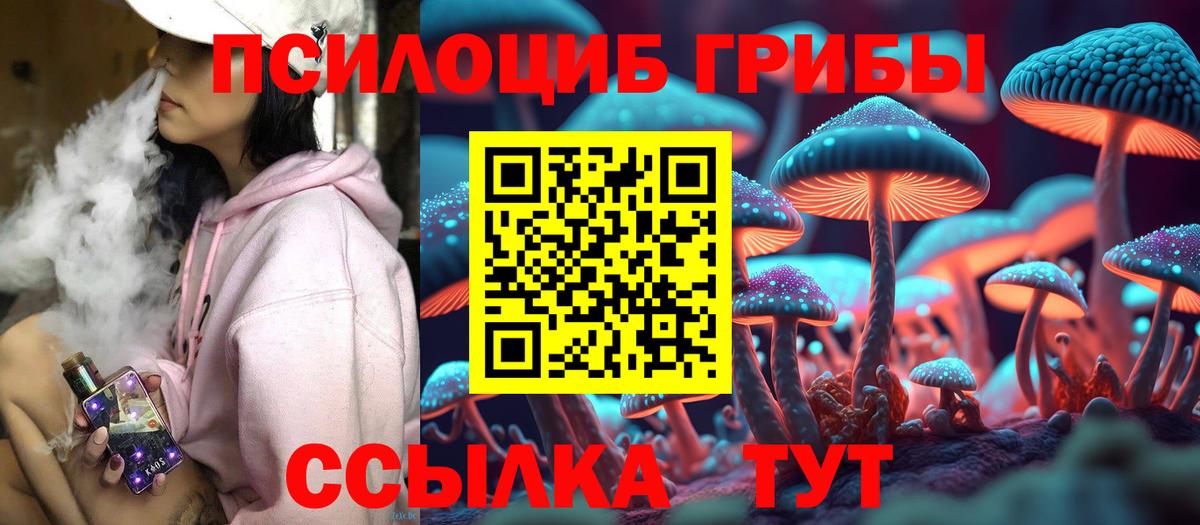 Псилоцибиновые грибы прущие грибы  Вход с VPN  Псилоцибиновые грибы GOLDEN TEACHER  Нарьян-Мар 