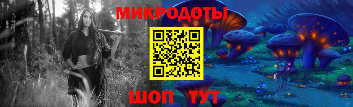 Галлюциногенные грибы Psilocybe Нарьян-Мар